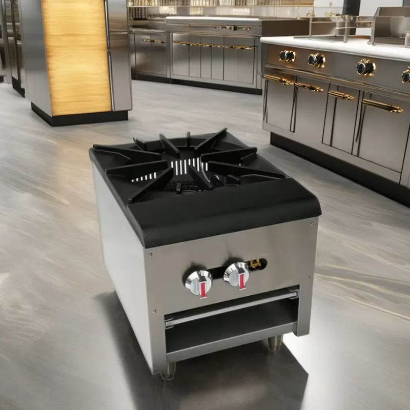 Commercial Stainless Steel Gas - Commercial Kitchen Boiler ulasan dan harga
