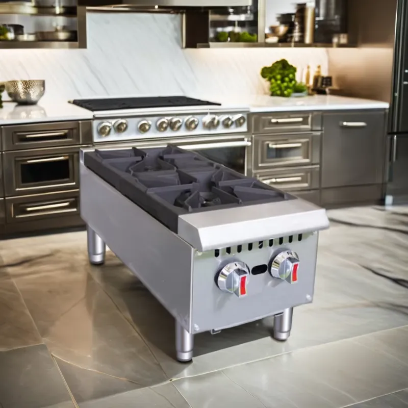 Commercial Stainless Steel Gas - Commercial Kitchen Boiler ulasan dan harga